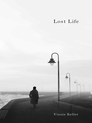 cover image of Lost Life